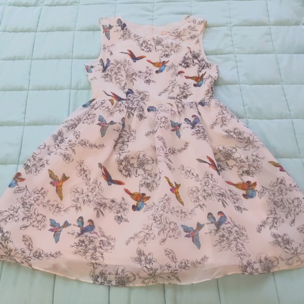 Bird patterned mod-cloth chiffon dress, size S